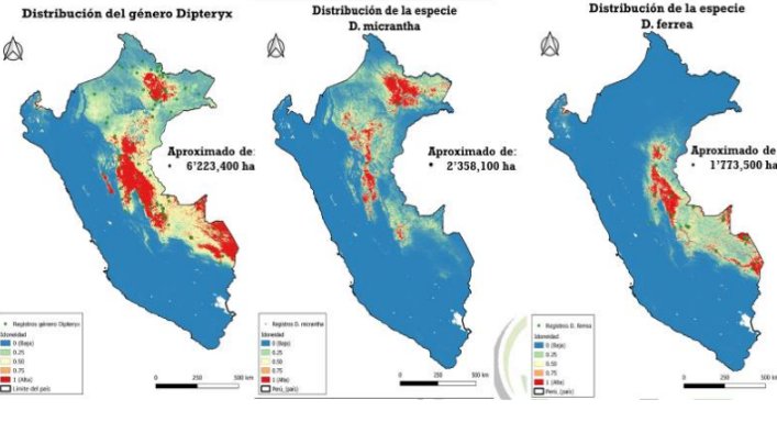 Mapas de distribución del género Dipteryx, D. micrantha y D. ferrea en el Perú